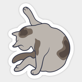 Keep it clean – this is all the cat mean (pose 1) Sticker